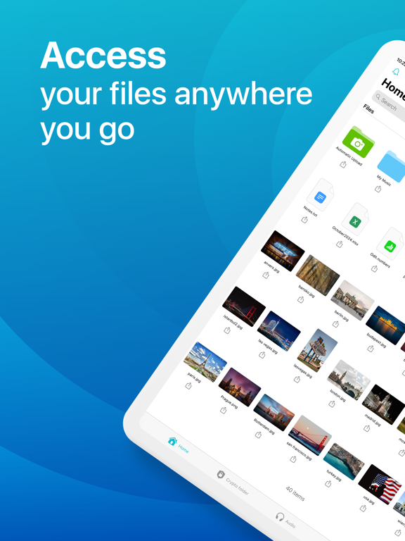 pCloud · 官方 App Store 截图(iPad 版)