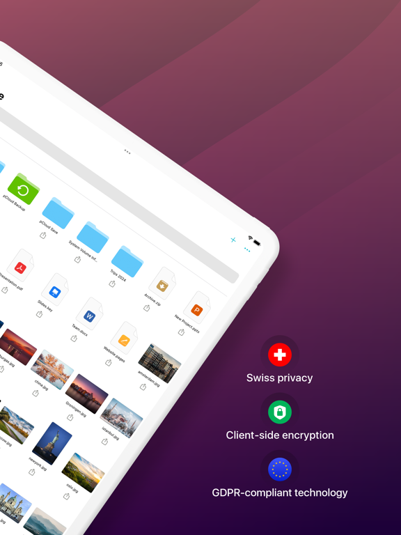 pCloud · 官方 App Store 截图(iPad 版)